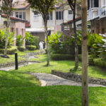 a path in a garden with trees and bushes